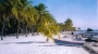 Beach sand, coconut palms, boat, dock & Atlantic